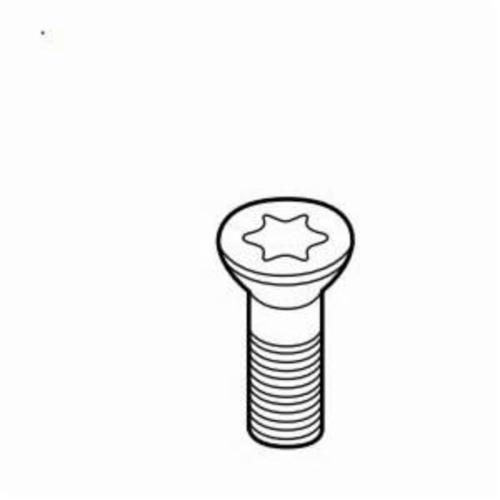 TAPER HD SCW TORX M3.5x0.6 MS1156