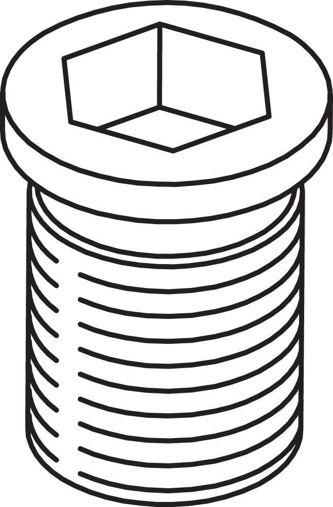 SS4N M5.5X0.5 SHIM SCREW