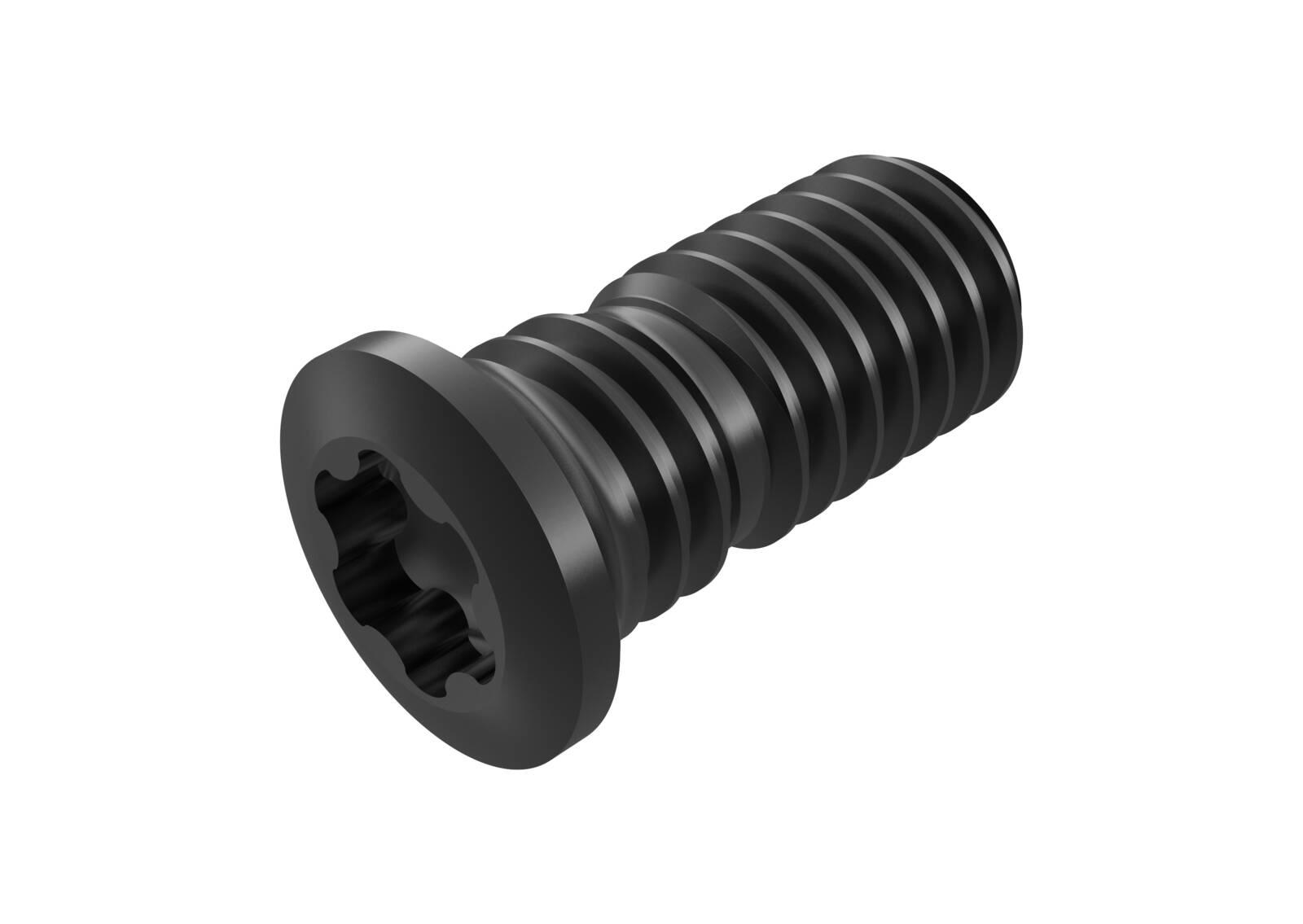 CS4009-T15P