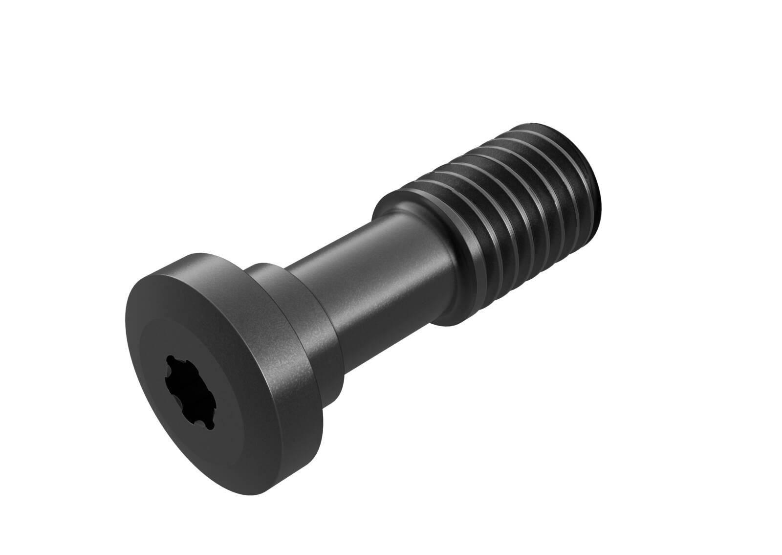 L85017-T09P