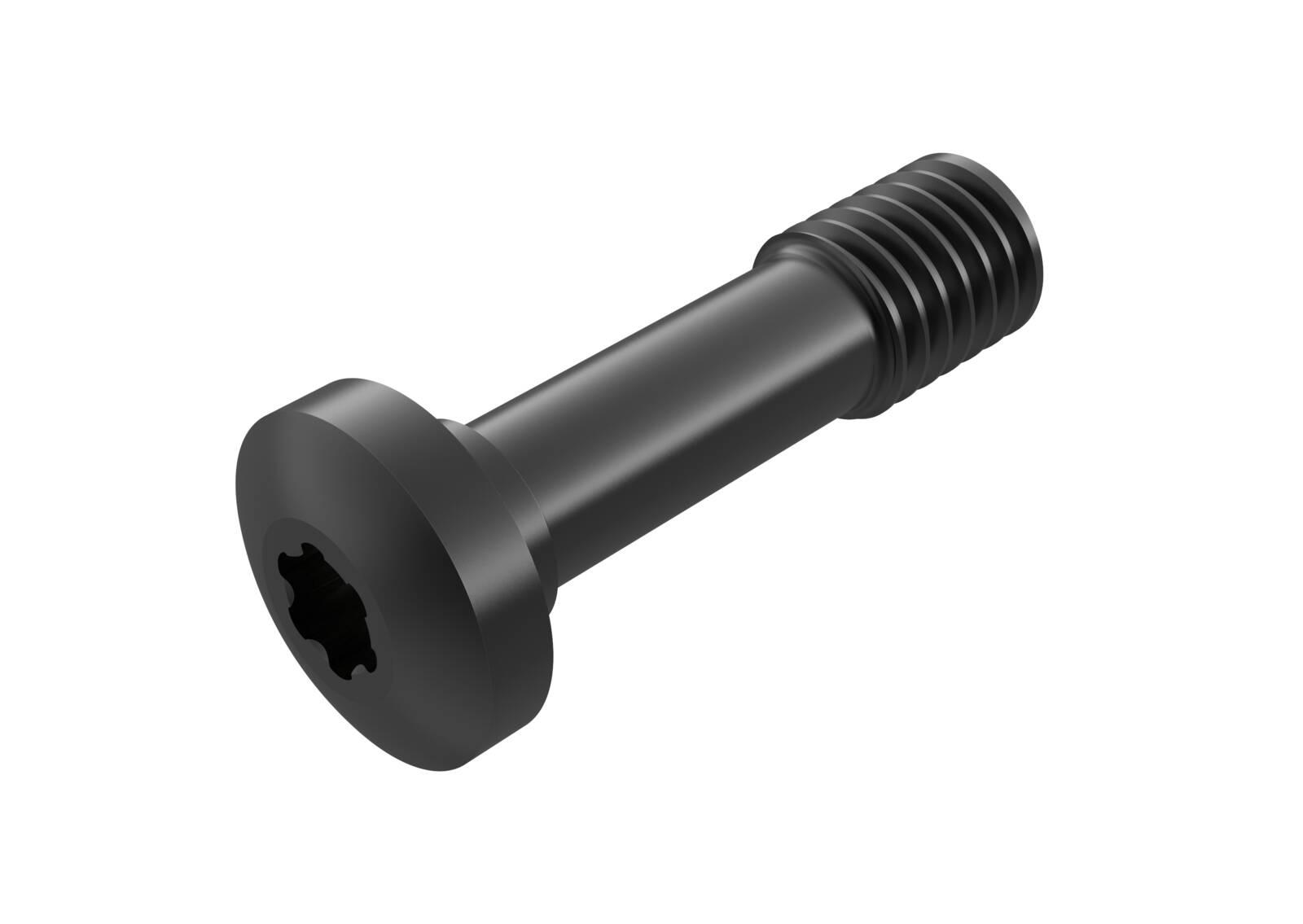 L86025-T20P CLAMP SCREW