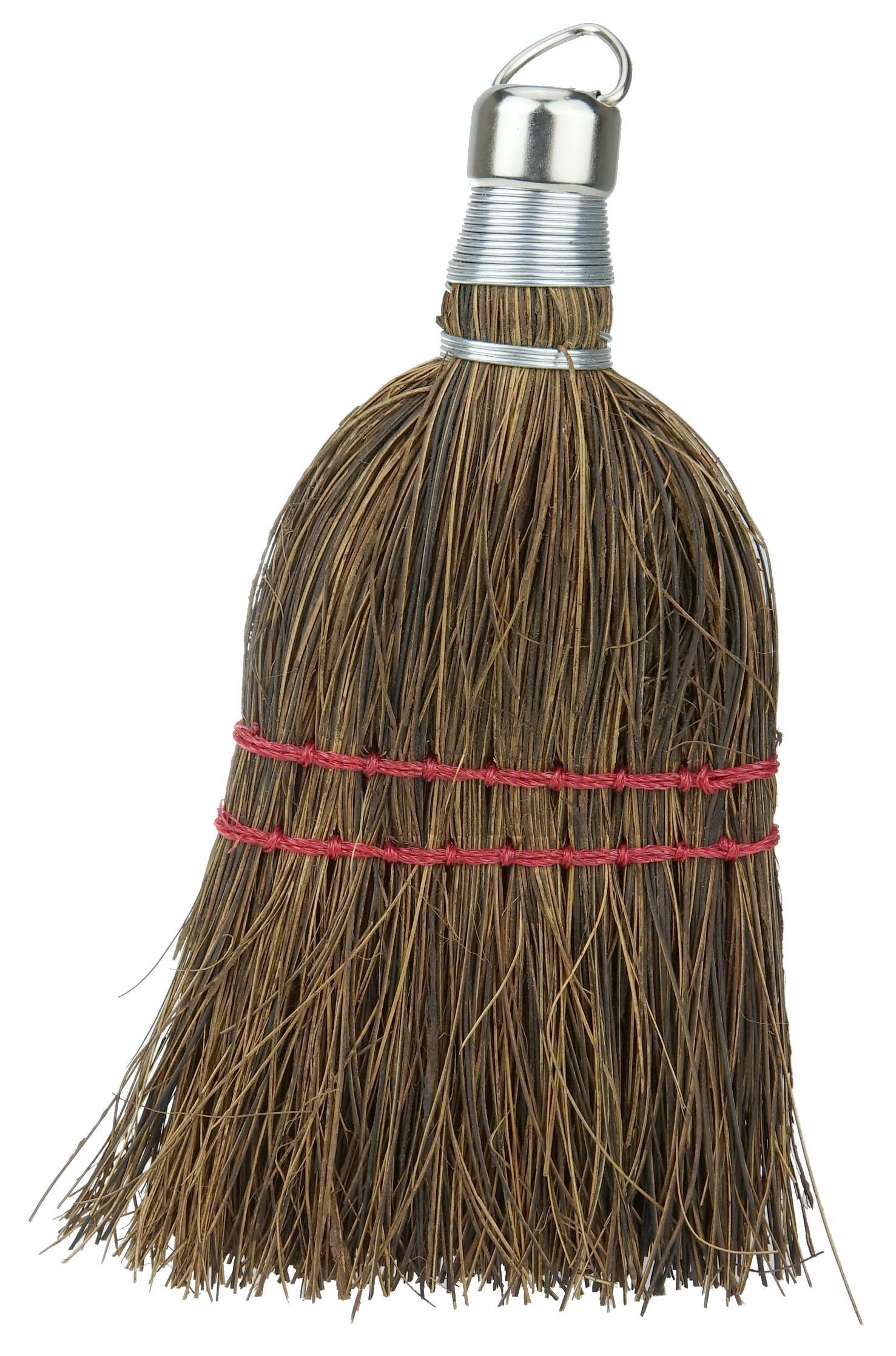 7IN WHISKBROOM PALMETTO