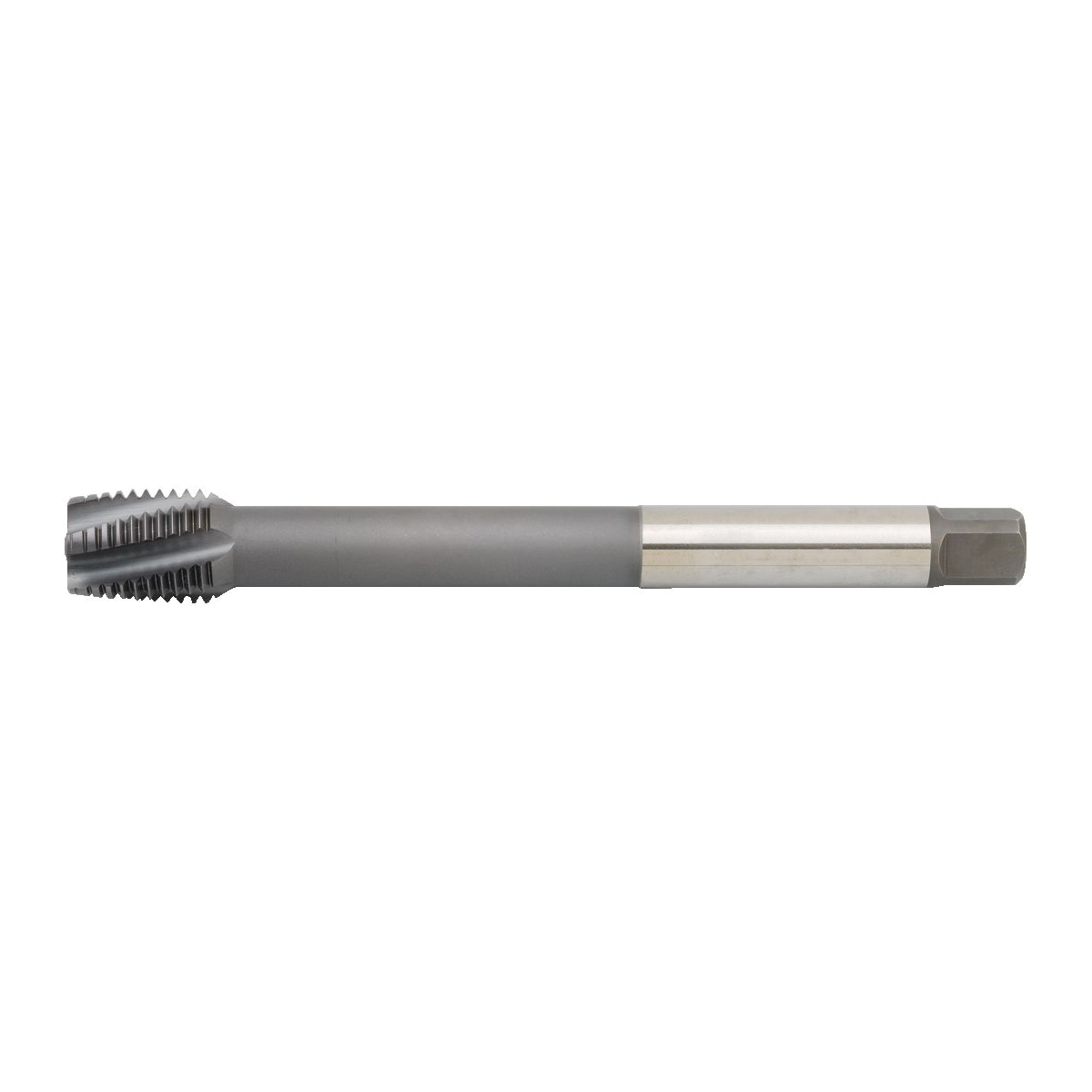 M24X3 6H LHSF PLUG TAP X-LNG GP6520