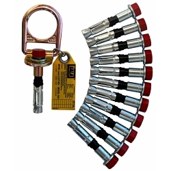 CONCRETE D-RING ANCHOR w/ BOLT