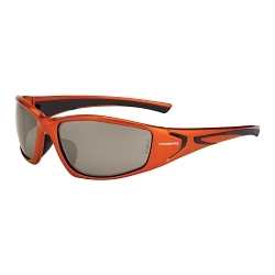 DEMI-CPR MIRROR RPG SAFETY GLASSES