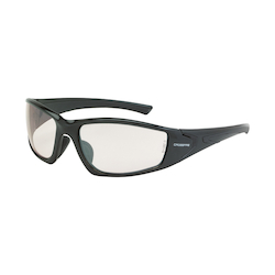 I/O RPG POLYCARB SAFETY GLASSES