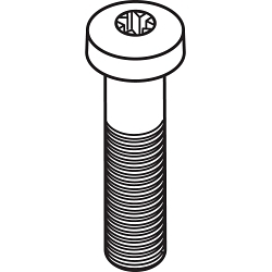 CS3D M5X0.8 SCREW