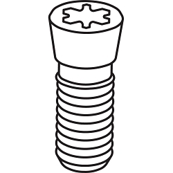 SV60136TR M6X1.0 SCREW