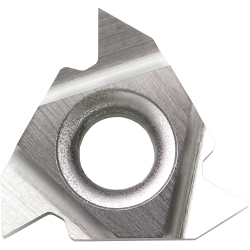 16IR 5501 TC60 THREADING INSERT