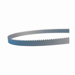 19FT8INx3/4 3STD CARB CAST MASTER BLADE