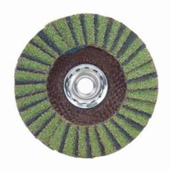 6" x 5/8-11 80GR FLAP DISC