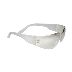 I/O SAFETY GLASSES w/ I/O FRAME