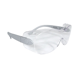 CLR SAFETY GLASSES w/ SLV FRAME