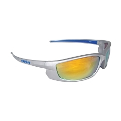 ELECTRIC ORG SAFETY GLASSES w/ SLV FRAME