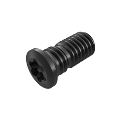CS4009-T15P