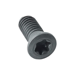 MTS-255 M2.5x.45 INSERT SCREW