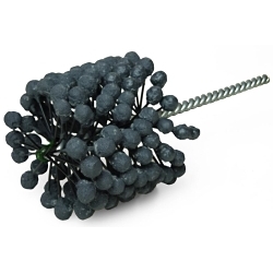 CF BORE BRUSH 2-1/4 120SC