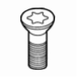 TORX SCREW