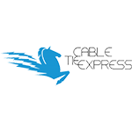 CABLE TIE EXPRESS