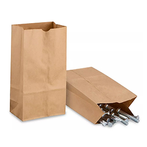 6x3-5/8xX11 HARDWARE PAPER BAG (250)