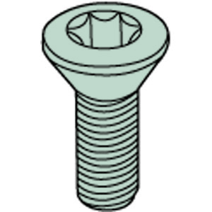 CS115 INSERT SCREW FOR INTERNAL TOOLHOLDERS
